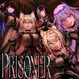 Preview image for Prisoner